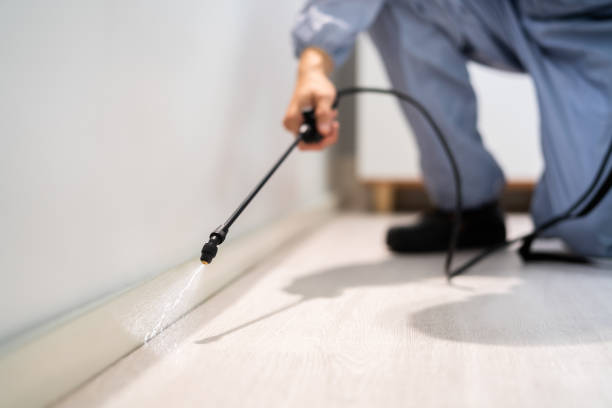 Licensed Pest Control service in Bear Creek, AK - Show Me Pest Control
