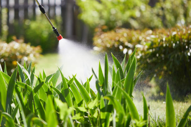 24/7 Emergency Wasp Removal experts in Bear Creek, AK