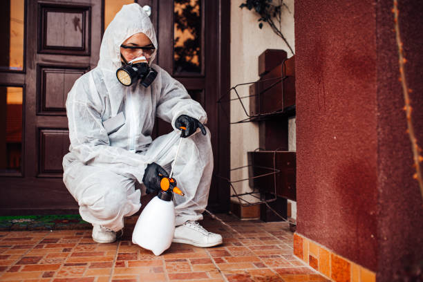 Reliable Wasp Removal contractor in Bear Creek, AK by Show Me Pest Control