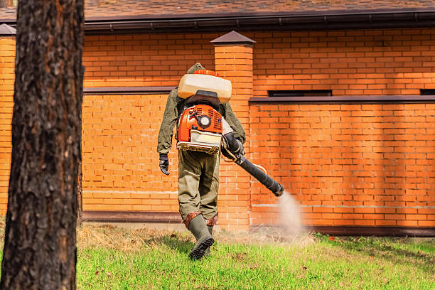 Top rated local Wasp Removal specialists in Bear Creek, AK